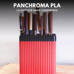 Panchroma Basic PLA - Rouge (Red) - 1,75 mm - 1 kg