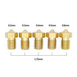 Dagoma - Buse Laiton