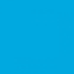 Chemica - Rouleau de Thermocollant de Hotmark Revolution - Bleu Clair (Light Blue) -  30 cm x 5 m